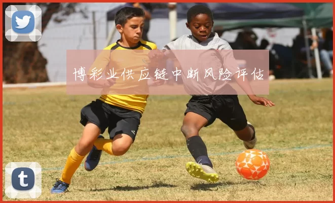 博彩业供应链中断风险评估