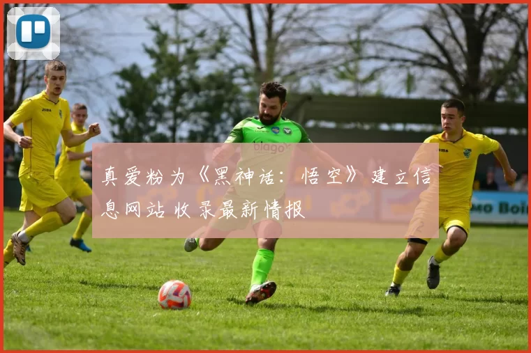 真爱粉为《黑神话：悟空》建立信息网站 收录最新情报