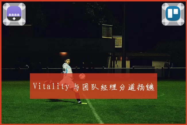 Vitality 与团队经理分道扬镳