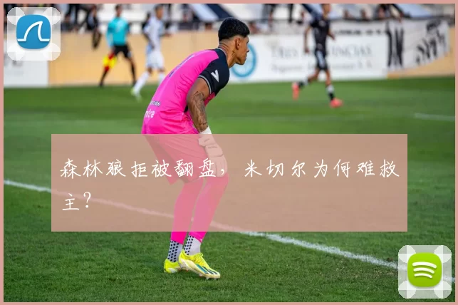 森林狼拒被翻盘，米切尔为何难救主？