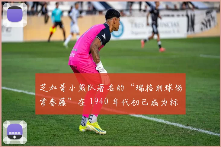 芝加哥小熊队著名的“瑞格利球场常春藤”在 1940 年代初已成为标志性景观