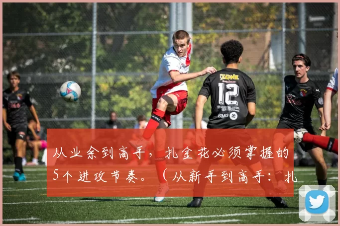 从业余到高手，扎金花必须掌握的5个进攻节奏。（从新手到高手：扎金花进攻节奏的五个关键要领）
